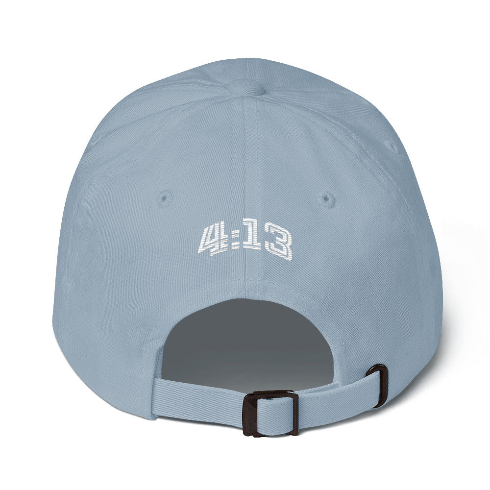 TS Dad Hat (various color options)