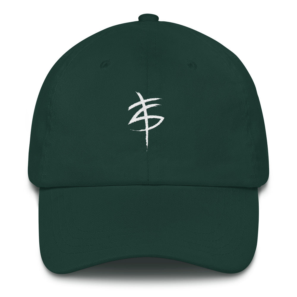 TS Dad Hat (various color options)