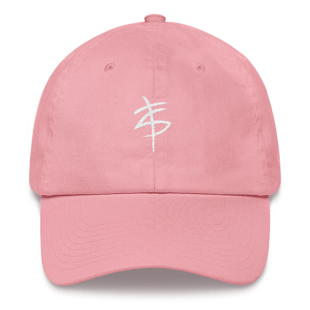 TS Dad Hat (various color options)