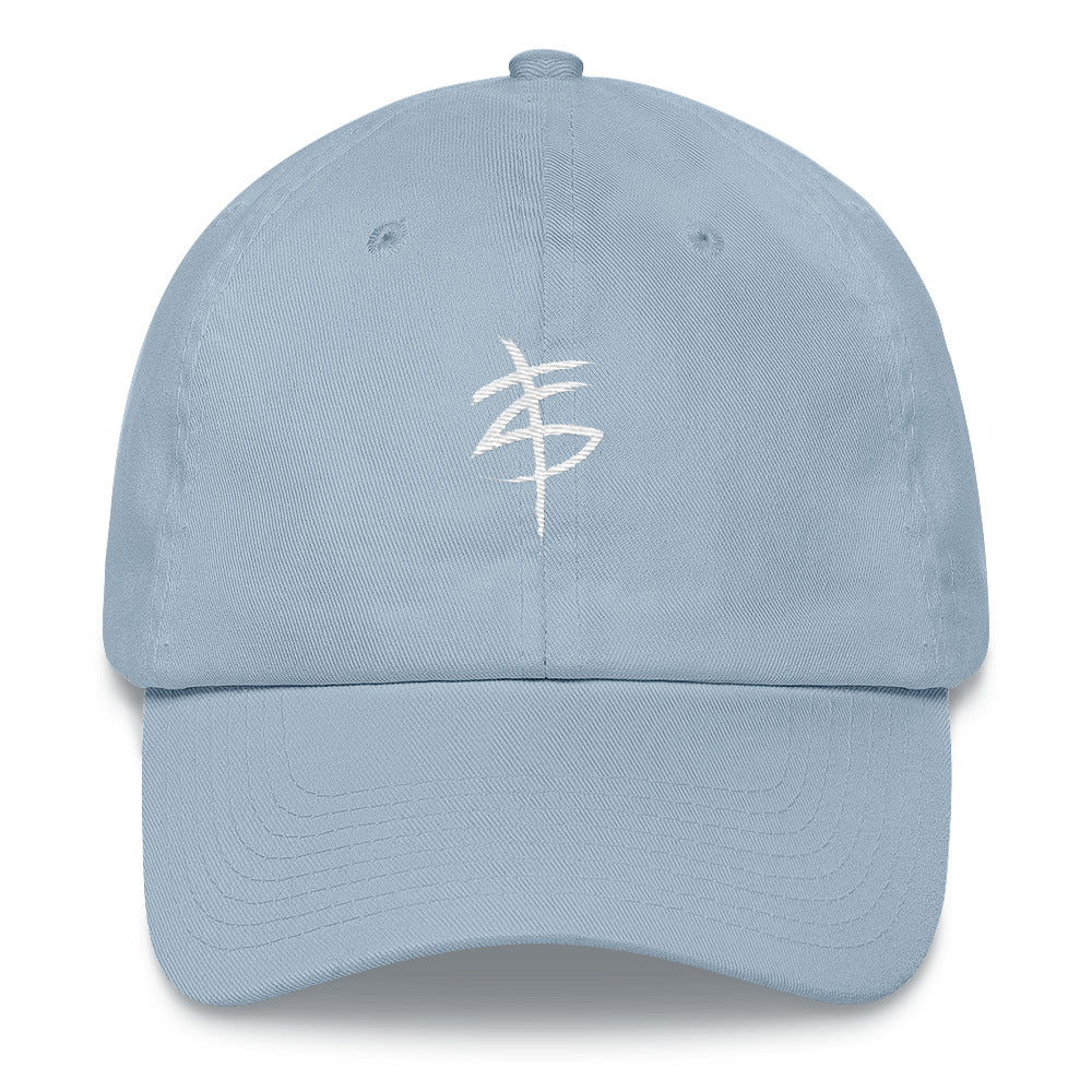 TS Dad Hat (various color options)