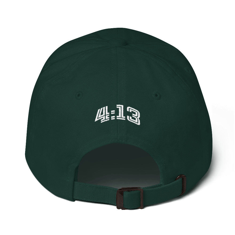TS Dad Hat (various color options)